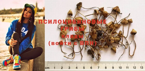 прущая мука Артём