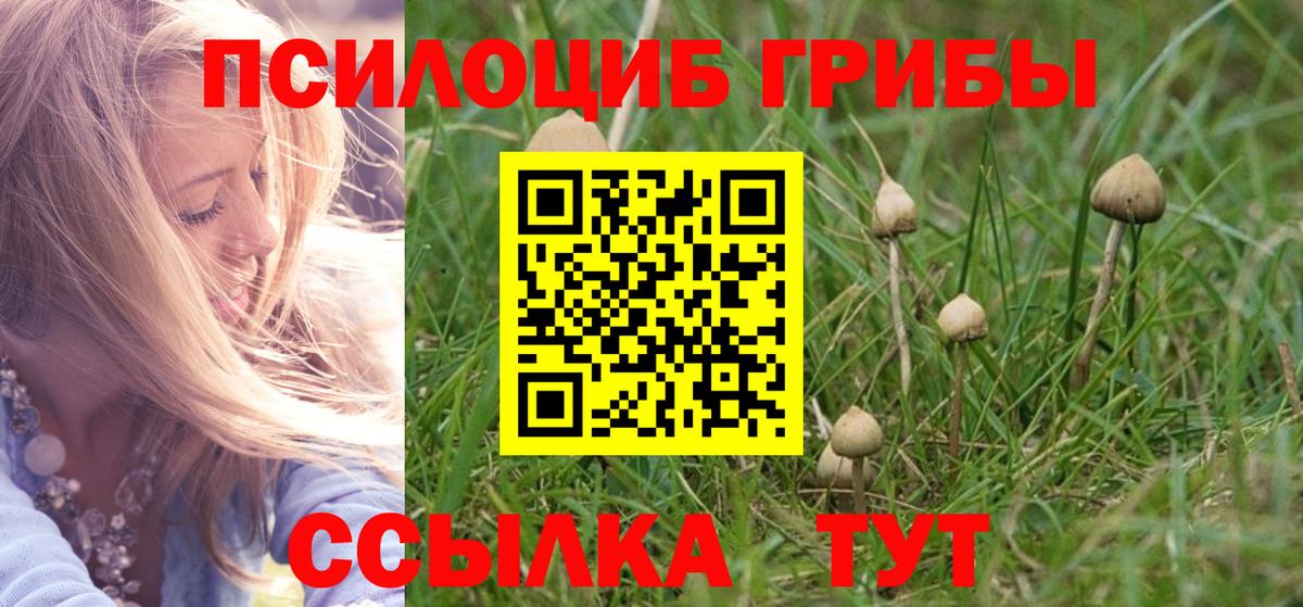 Галлюциногенные грибы мухоморы  Галлюциногенные грибы MAGIC MUSHROOMS  Донской  Вход с VPN 