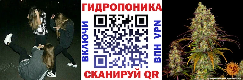 Бошки марихуана марихуана  Донской 